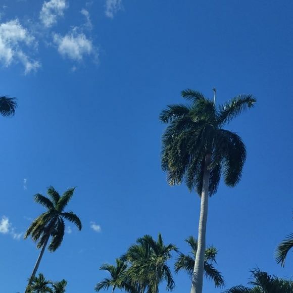 Meet your Posher, Marta - Picture 1 of 1